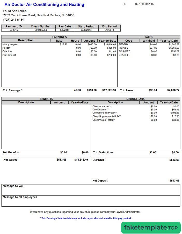 Feature of fake Air Doctor Paystub example